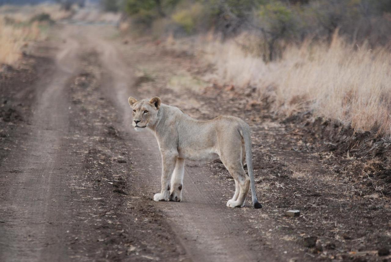 Kgorogoro Lodge Пиланесберг Экстерьер фото